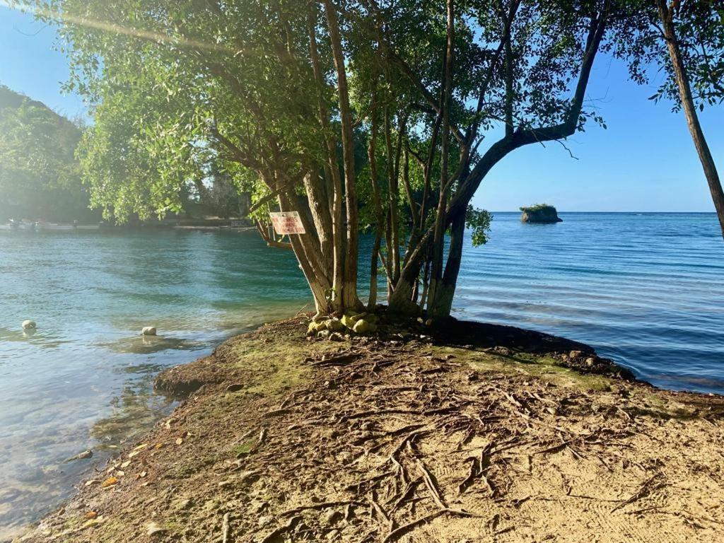 Tha Lagoon Spot Caribbean Breeze Lägenhet Port Antonio Exteriör bild